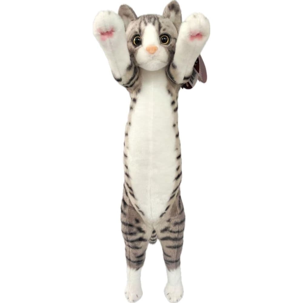 Crazy Kitten 15in Standing Cat - Styles May Vary Eighth Alternate Image