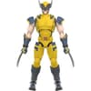 image Marvel Studios Champion Class Wolverine Model Kit First Alternate Image