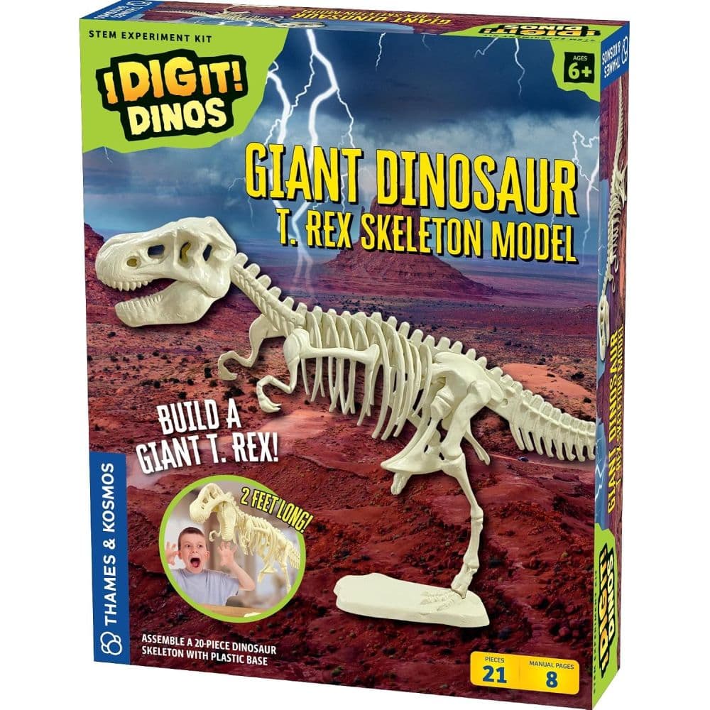 image Giant Dinosaur T.Rex Skeleton Model Main Product Image