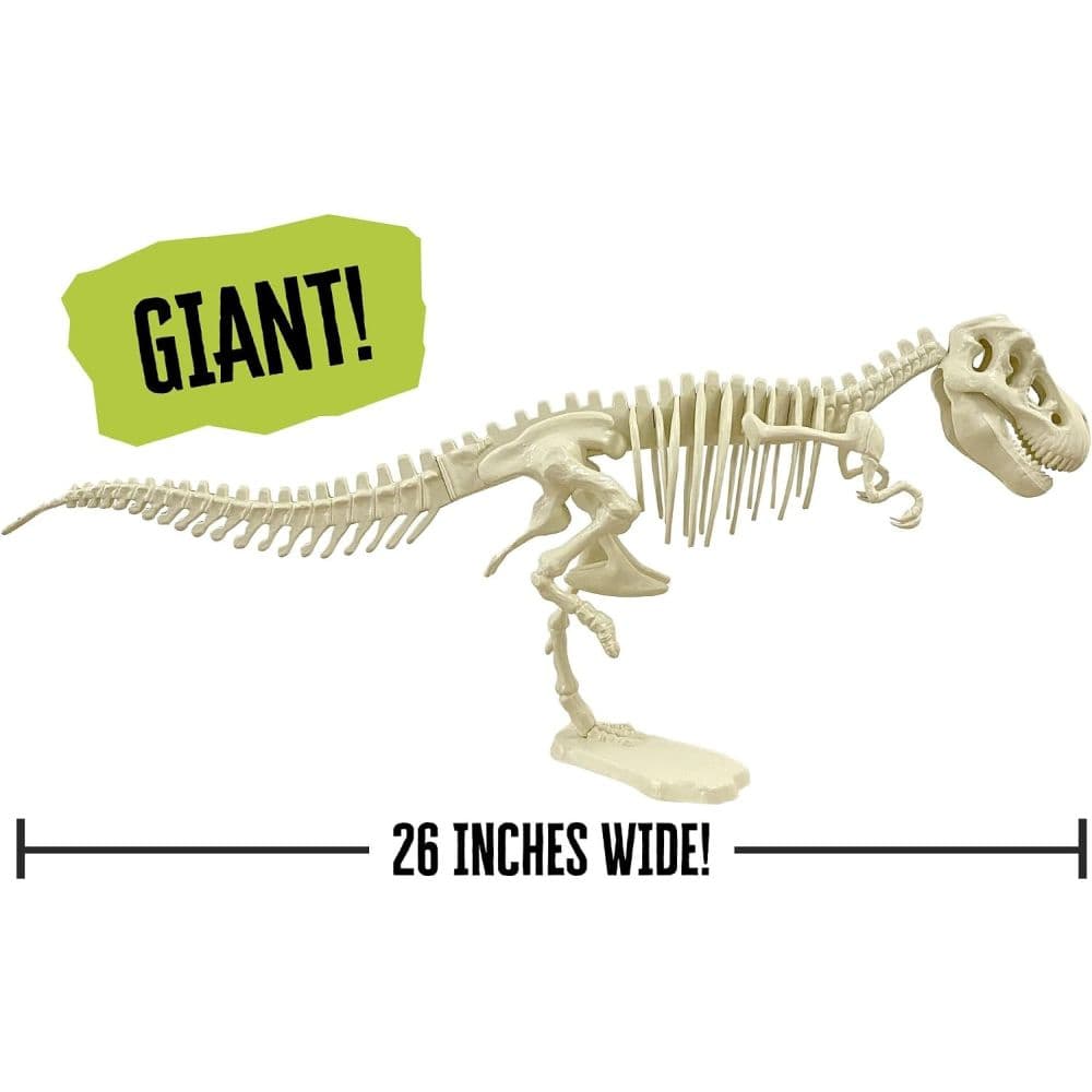 Giant Dinosaur T.Rex Skeleton Model First Alternate Image