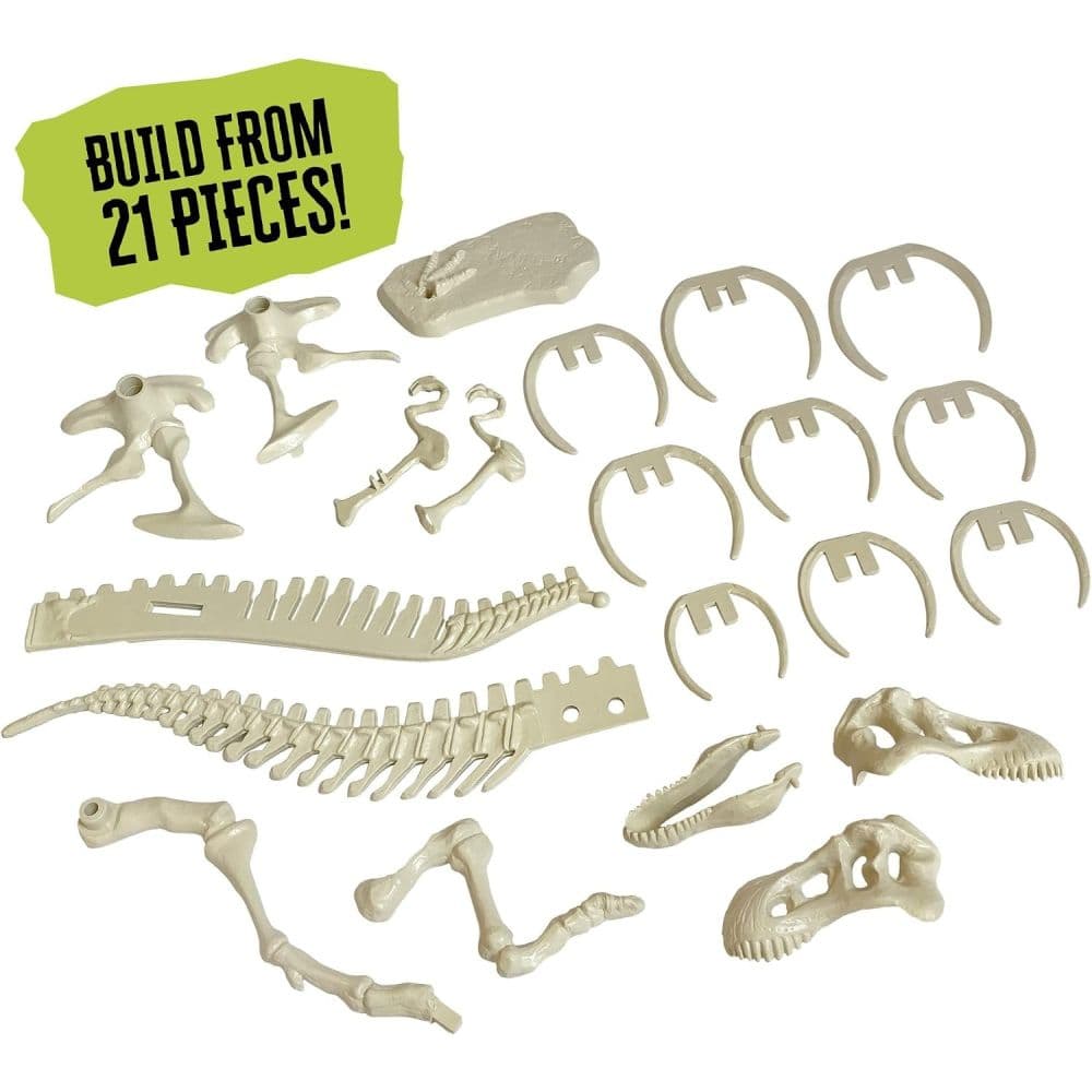 Giant Dinosaur T.Rex Skeleton Model Third Alternate Image