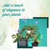 image Craft Crush Plant Charms First Alternate Image