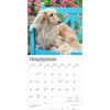 image Miniature Dachshunds 2025 Wall Calendar Third Alternate Image