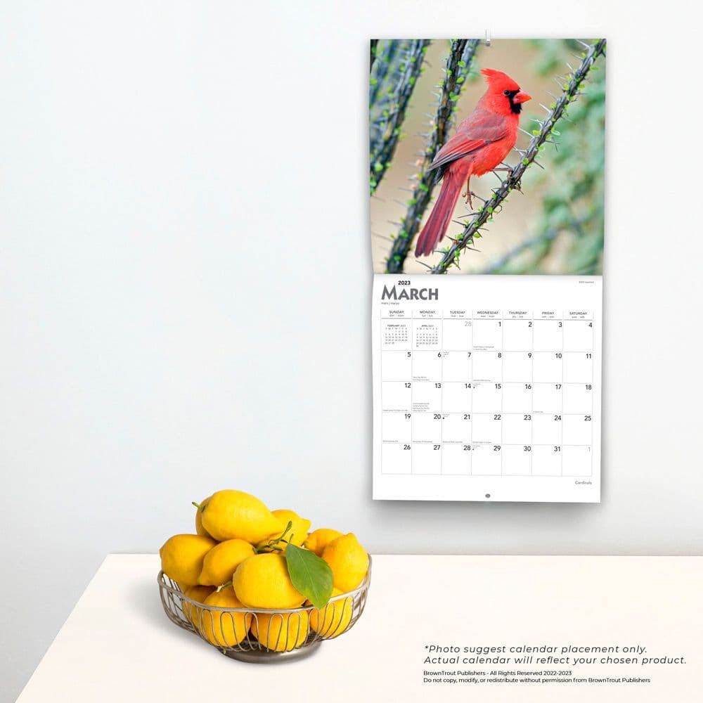 Cardinals 2023 Wall Calendar - Calendars.com