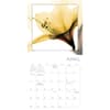 image Flower Spirits 2026 Wall Calendar Third Alternate Image