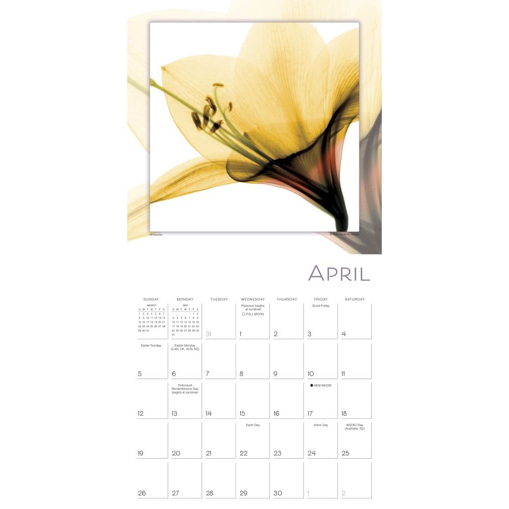 Flower Spirits 2026 Wall Calendar Third Alternate Image
