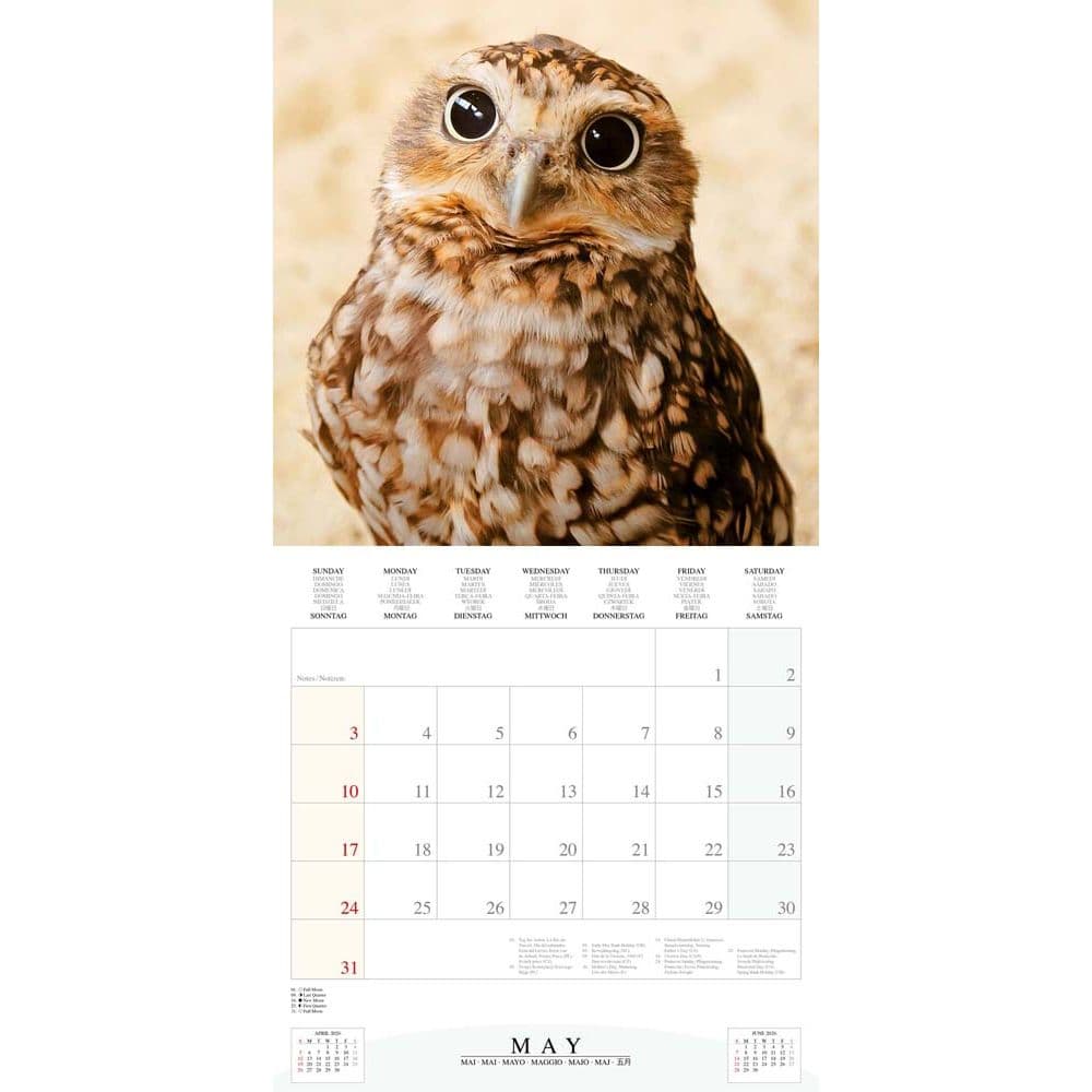 Magic Owls 2026 Wall Calendar Third Alternate Image