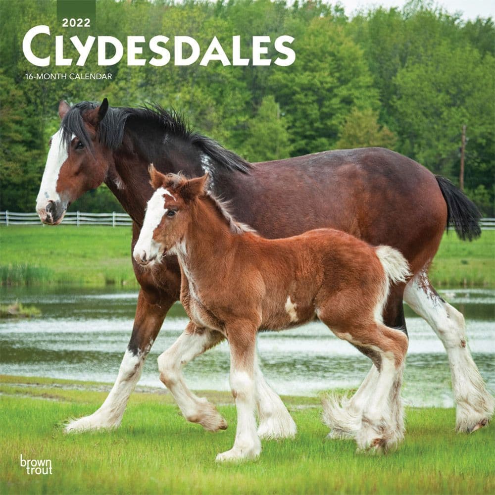 Clydesdales 2022 Calendars