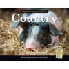 image Old Farmers Almanac Country 2024 Wall Calendar Main Product Image width=&quot;1000&quot; height=&quot;1000&quot;