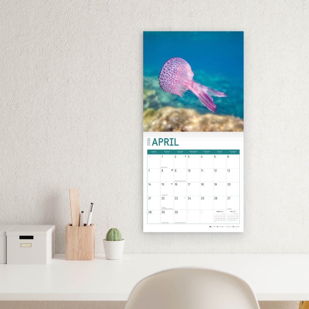 Jellyfish 2024 Wall Calendar