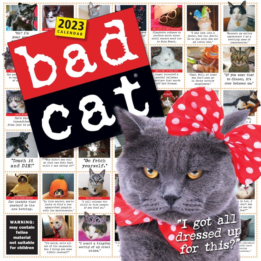 Bad Cat 365 Days 2023 Wall Calendar By Workman Publishing Calendars For All