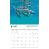 image Dolphins WWF 2026 Wall Calendar Third Alternate Image