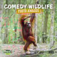 image Comedy Wildlife Photography Awards Wall 2027 Wall Calendar Main Image