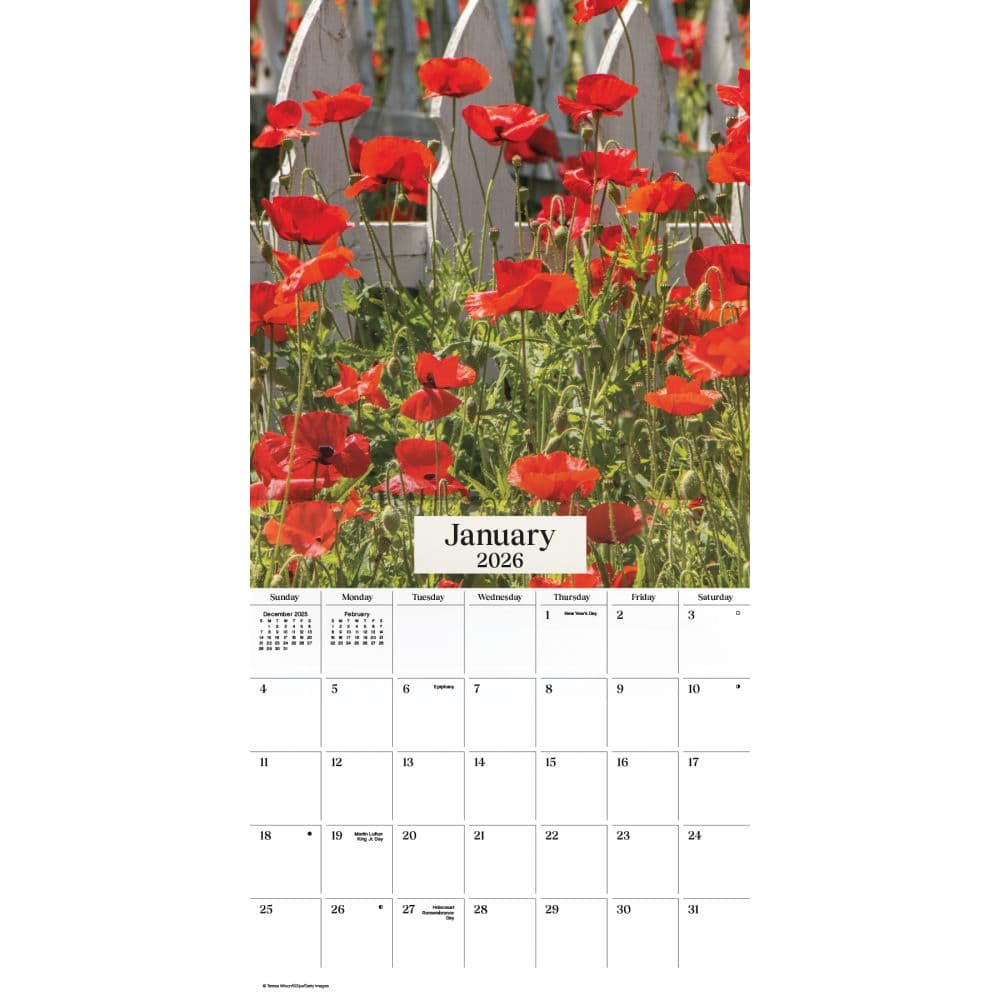 Texas Wildflowers 2026 Wall Calendar Second Alternate Image