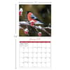 image Songbirds Photo 2025 Mini Wall Calendar