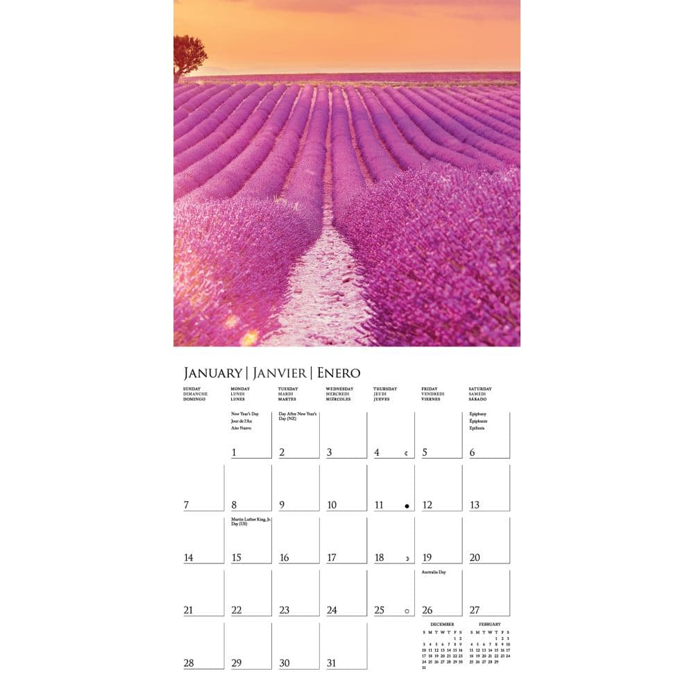 Provence 2024 Mini Wall Calendar Second Alternate Image width=&quot;1000&quot; height=&quot;1000&quot;
