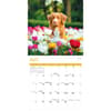 image Nova Scotia Duck Tolling Retriever 2026 Wall Calendar Third Alternate Image