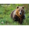 image Bears 2024 Wall Calendar Main Product Image width=&quot;1000&quot; height=&quot;1000&quot;