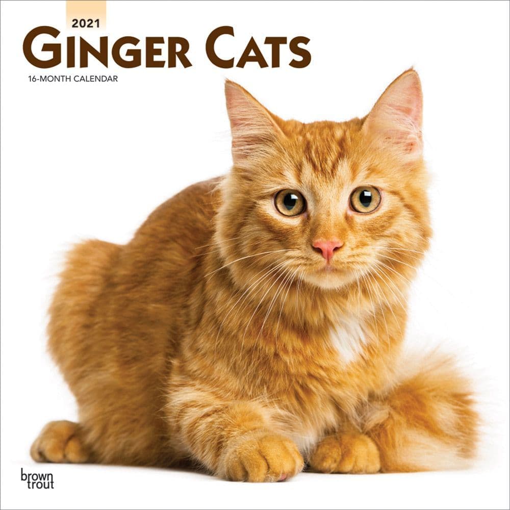 Ginger Cats Wall Calendar
