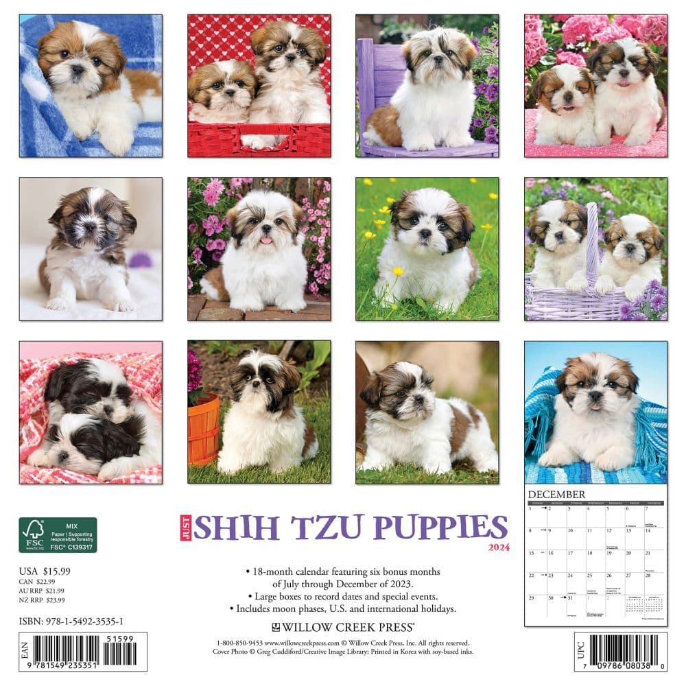 Just Shih Tzu Puppies 2024 Wall Calendar