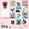 image Pawparazzi 2025 Mini Wall Calendar