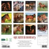 image American Quarter Horses 2026 Wall Calendar First Alternate Image