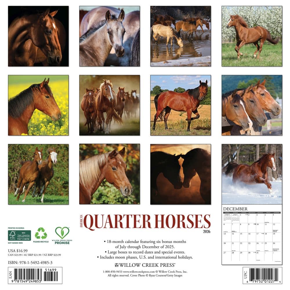 American Quarter Horses 2026 Wall Calendar First Alternate Image