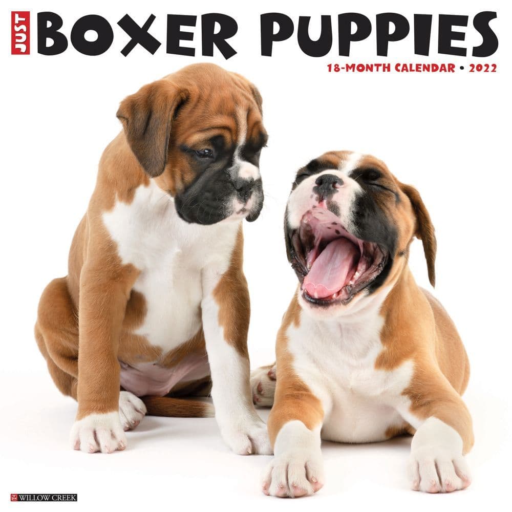 Just Boxer Puppies 2022 Wall Calendar