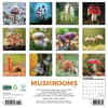 image Mushroom Art 2025 Wall Calendar back cover