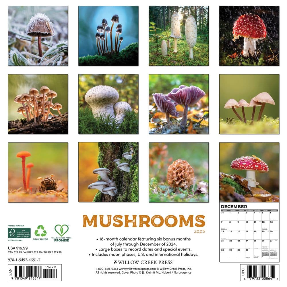 Mushroom Art 2025 Wall Calendar back cover