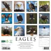 image Eagles 2026 Wall Calendar First Alternate Image