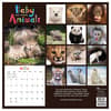 image Baby Animals 2025 Wall Calendar First Alternate Image width=&quot;1000&quot; height=&quot;1000&quot;