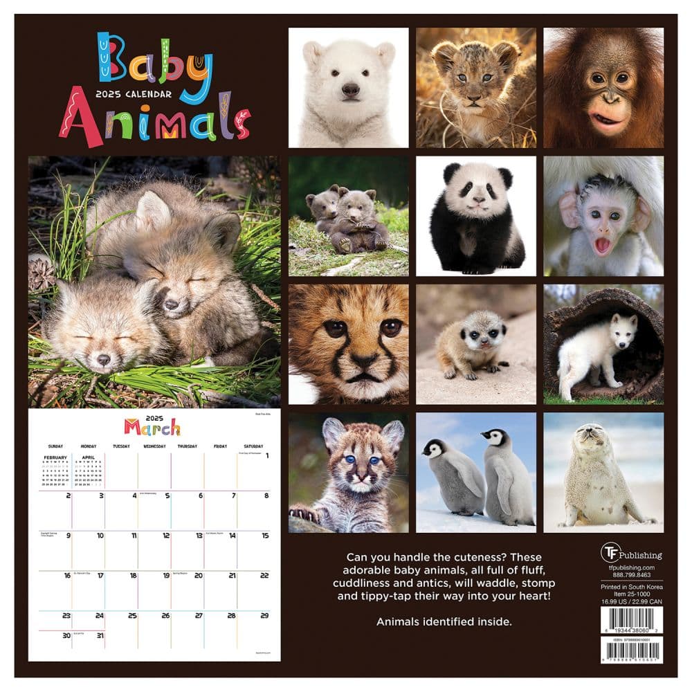 Baby Animals 2025 Wall Calendar First Alternate Image width=&quot;1000&quot; height=&quot;1000&quot;