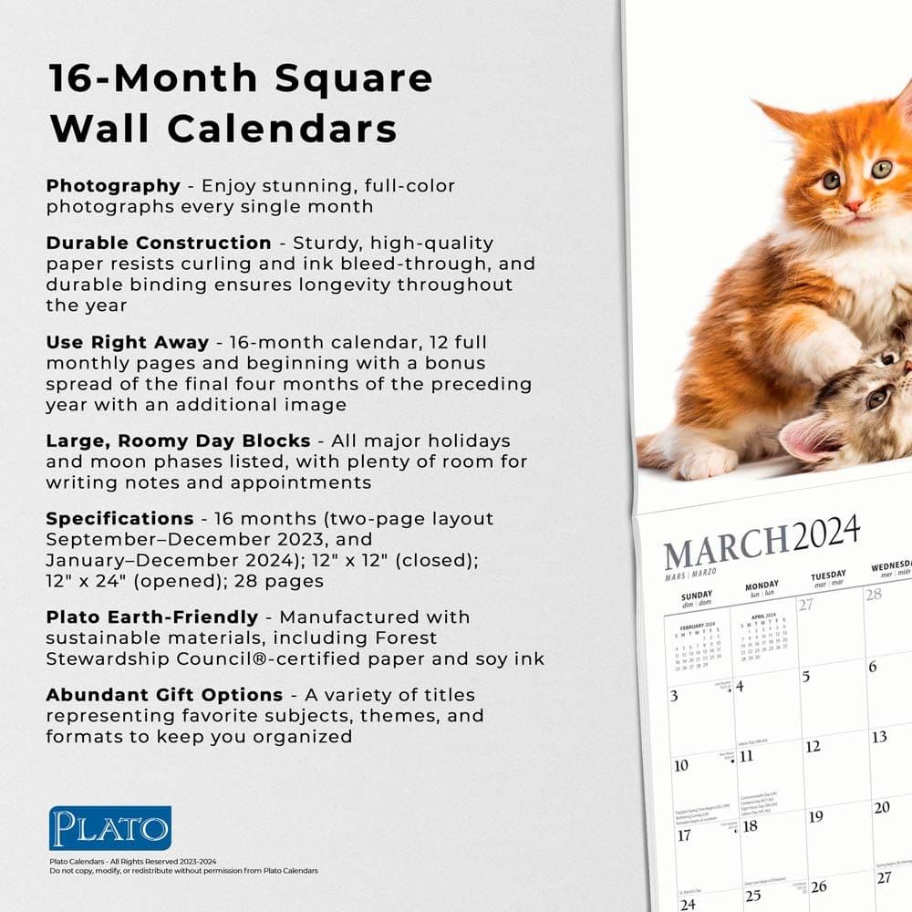 Kitten Cuddles 2024 Wall Calendar Fourth Alternate Image width=&quot;1000&quot; height=&quot;1000&quot;