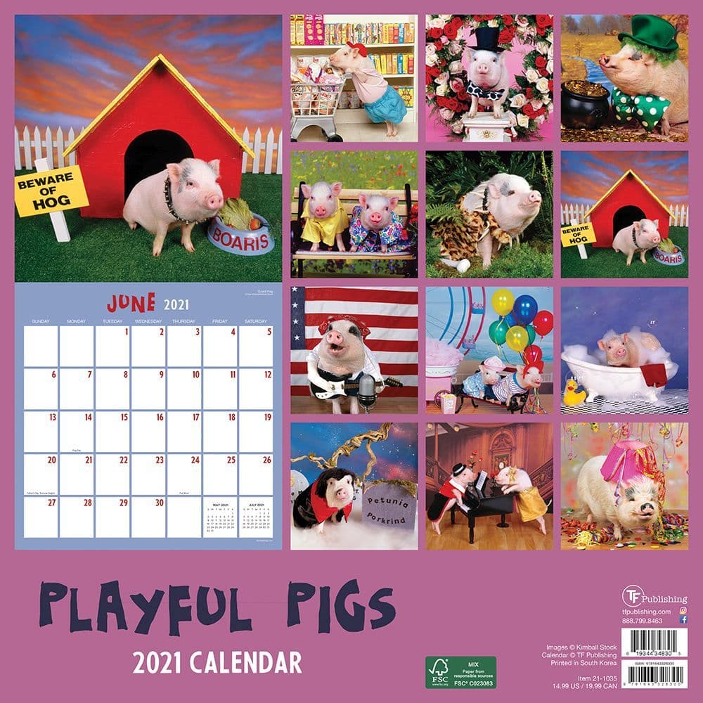 Playful Pigs Wall Calendar