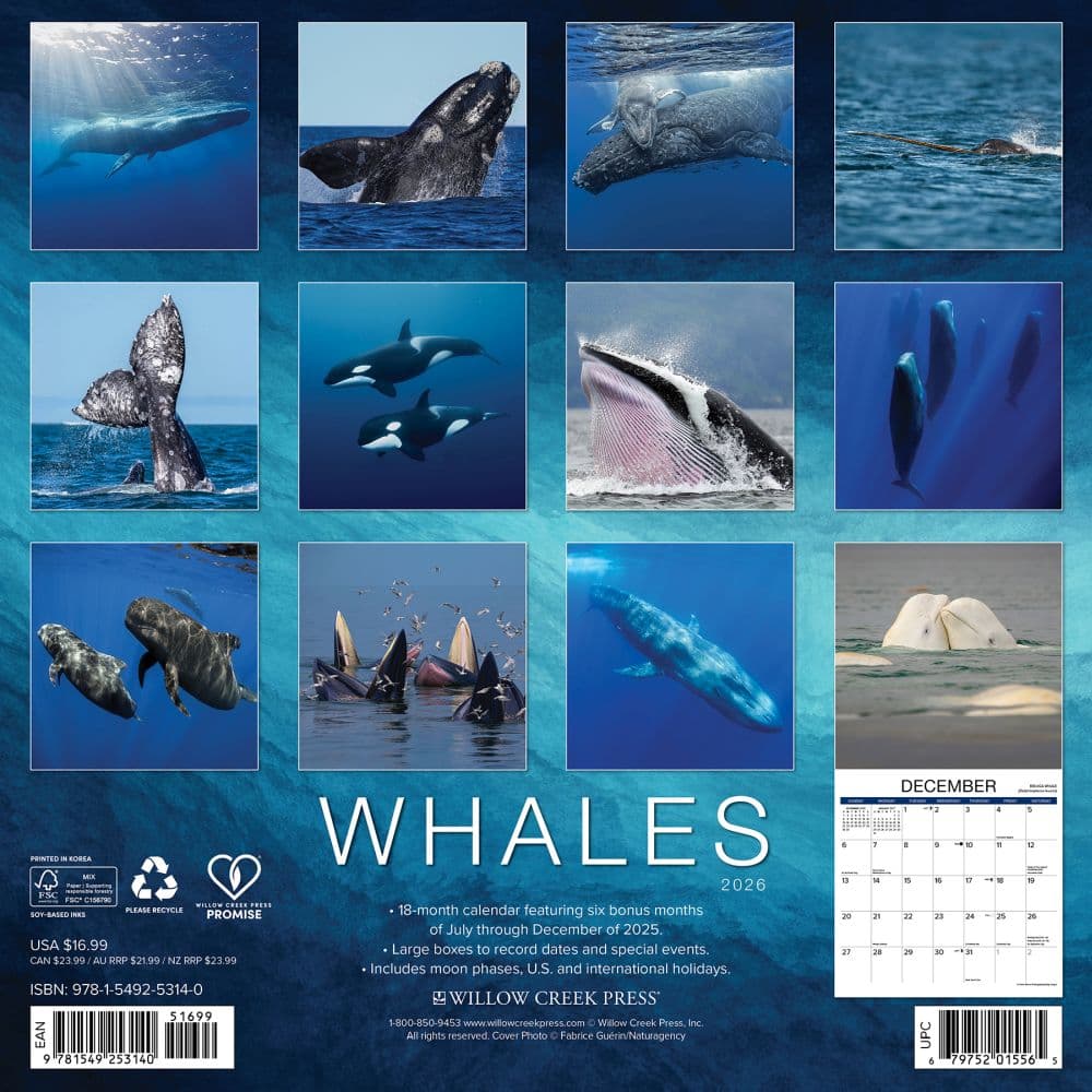Whales 2026 Wall Calendar First Alternate Image