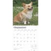 image Welsh Corgis Pembroke 2025 Wall Calendar Third Alternate Image width=&quot;1000&quot; height=&quot;1000&quot;