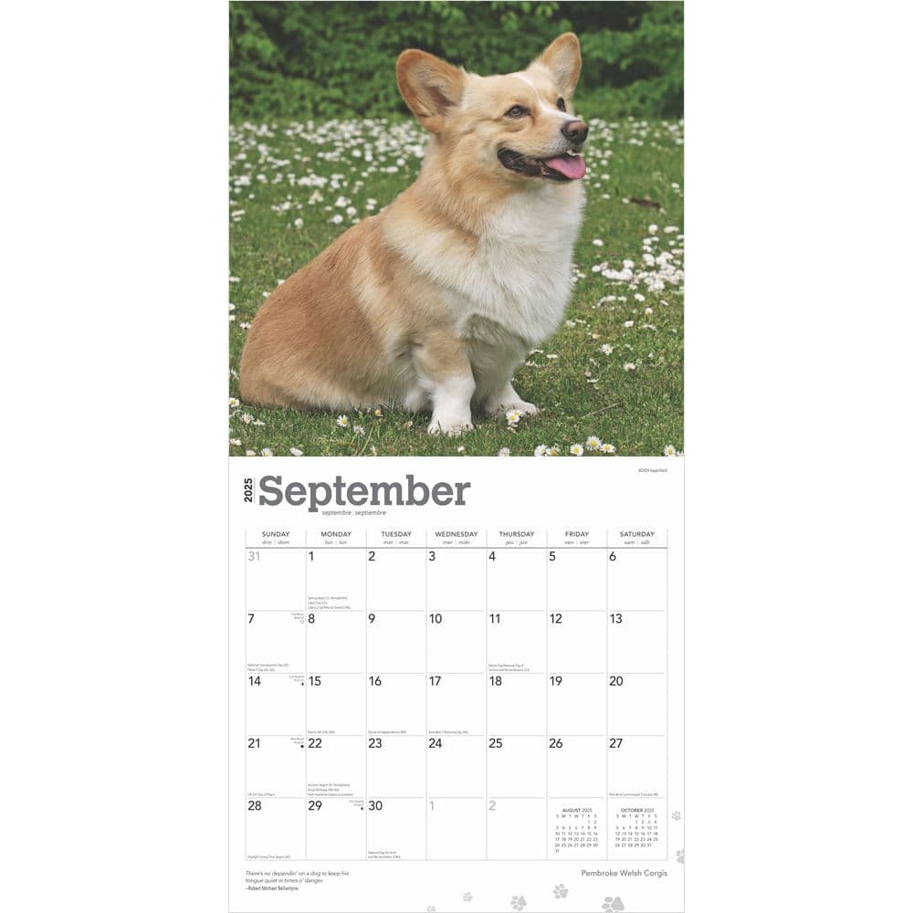 Welsh Pembroke 2025 Wall Calendar