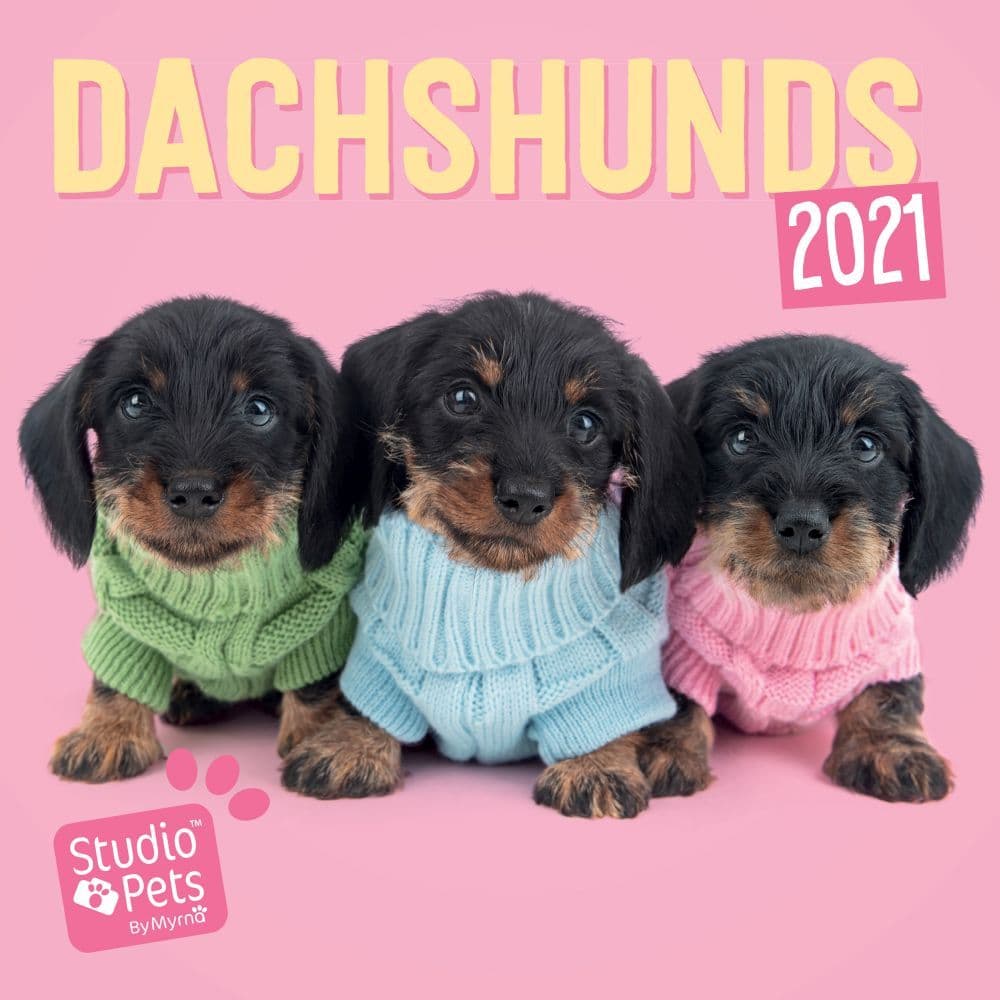 Studio Pets Dachshunds Mini Wall Calendar