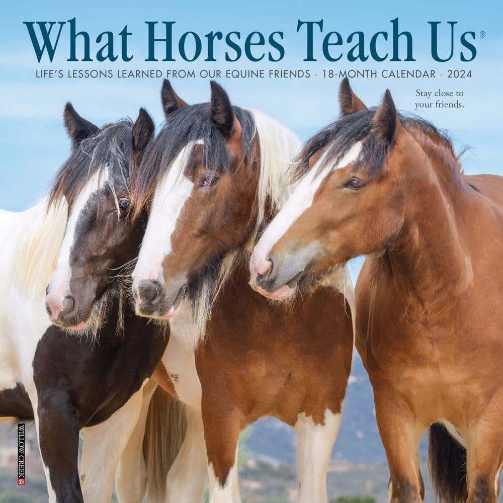 Horses What Horses Teach Us 2024 Mini Wall Calendar