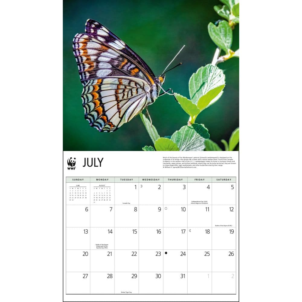 Butterflies WWF 2025 Wall Calendar