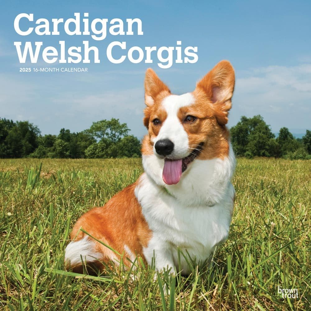 Welsh Cardigan 2025 Wall Calendar