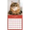 image Cats Fanciful Felines 2024 Wall Calendar Third Alternate Image width=&quot;1000&quot; height=&quot;1000&quot;