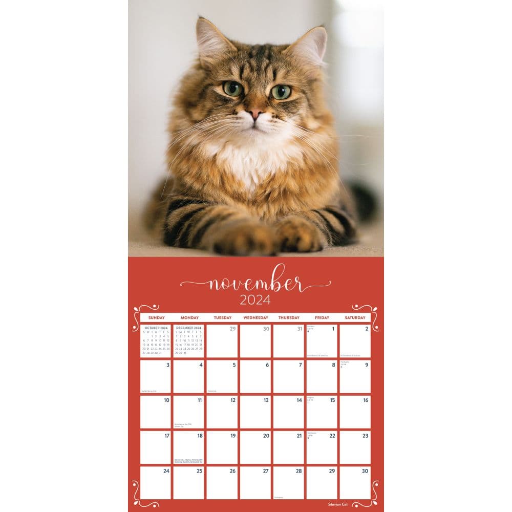 Cats Fanciful Felines 2024 Wall Calendar Third Alternate Image width=&quot;1000&quot; height=&quot;1000&quot;