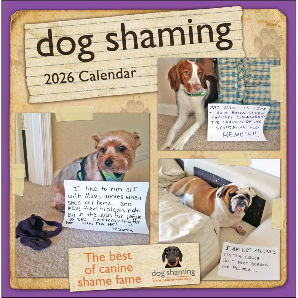 Dog Shaming 2026 Wall Calendar Main Image