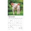 image Piglets 2025 Mini Wall Calendar