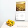 image Blessings 2025 Wall Calendar