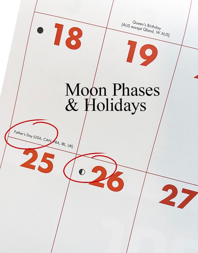 monster-grid-2023-wall-calendar-calendars