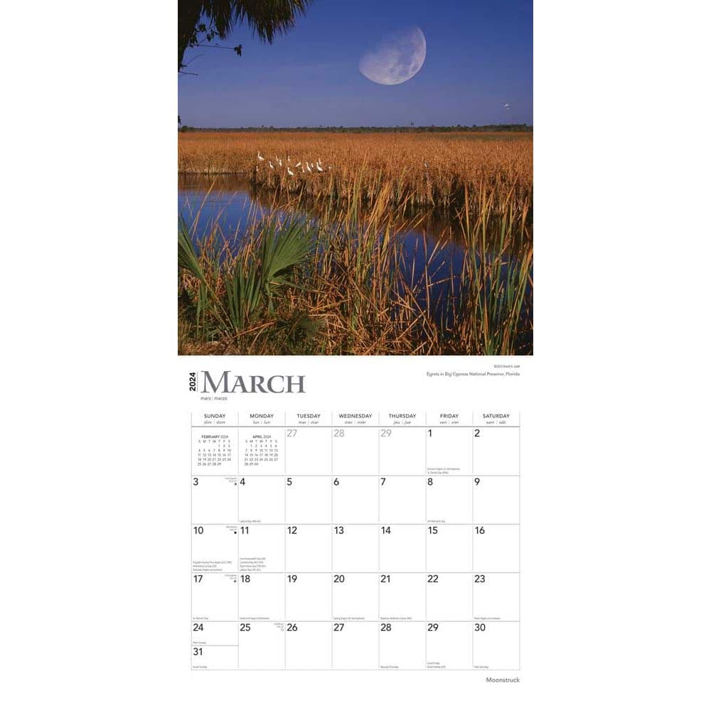 Moons 2024 Wall Calendar