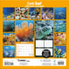 image Coral Reef 2024 Wall Calendar First Alternate 
Image width=&quot;1000&quot; height=&quot;1000&quot;